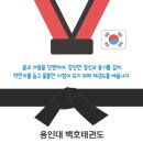 용인대백호태권도장 이미지