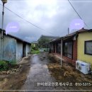 경남고성부동산시골집매매 - 하이면 아래채가 있는 자그마한 시골집 촌집매매 327제곱미터 (99) 이미지