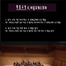 바움1