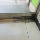 신창동물병원 이미지