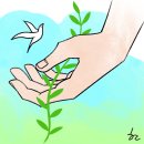손길 Daum카페