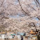 옥천군동이면석탄보건진료소 이미지