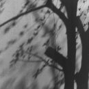 러프(Rough) 이미지