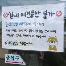 숲속 빵마을 카페 뻐터우드 | 냇가에 발 담글 수 있는 평택 숲속 카페 시숲, 역대급 예쁜 브런치부터 포토스팟 총정리