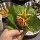 한국인삼방