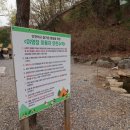 거북애견 이미지