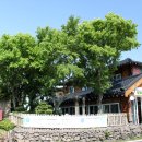 길섶나그네휴양펜션 이미지