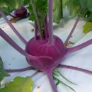 (주)휴팜 이미지