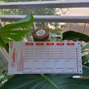 강동-천호-1184 이미지