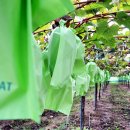 나래농원 이미지