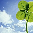 두리 한우 농장 이미지