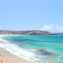 국제카정비 | 호주 시드니 렌터카 자유여행 비용 할인 예약 픽업 총정리