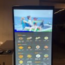 필리핀 세부 자유부인 태교여행 라온스퀘어 입국팩 금액,이용 후기