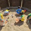 대흥동 유아숲체험원 이미지