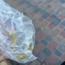 씨유 동선중앙점 | 꿀케이크, 젠코브성당, 공원 비교, 5월 날씨, 그린바자르, 간식, 시내관광지 시내동선 코스 가볼만한곳