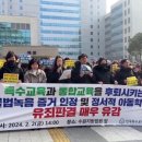 고기초등학교 네이버블로그
