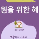 생활 속 힐링 아로마테라피 이미지