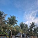 위드플랜(주) | 추천,에메랄드파루푸시 비치빌라, 워터빌라위드풀 후기, 몰디브 수상비행기,올인클루시브, 리조트 가격...