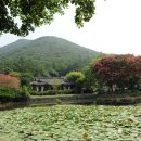 진도 운림산방 티스토리