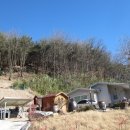 포항시북구13 이미지