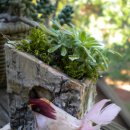 타샤의정원 이미지