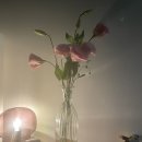 새경산꽃직판장 이미지