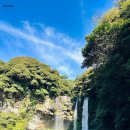 다정한 개아빠 | 제주도 2박3일 가족여행 코스 후기｜2,3일차 동쪽 코스·일정 정리 | 우도 성산일출봉 무료코스