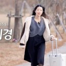 미경 이미지