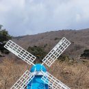 무등산양떼목장 이미지