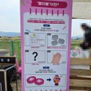 목련어린이집 | [경주 벚꽃축제] 대릉원 돌담길 벚꽃 명소 포토존 주차 꿀팁 프로그램 솔직 후기