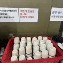 감치래비빔국수