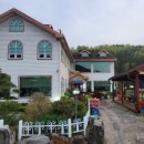 개성삼계탕 이미지