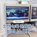 222 | [아시아나 비즈니스 후기] 뉴욕행 OZ222 A350 좌석·기내식 리뷰