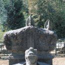 토끼와 자라 이미지