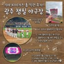 [챔피언스필드] INFP 내향인 기아타이거즈 VS SSg 야구직관 챔피언석 C2열 3번 C2열 4번 좌석 솔직 후기🐯