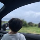 서쪽아이 이미지