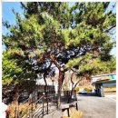 한우천국늑대장어 이미지