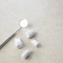 더강한치과의원 이미지