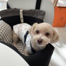 방울씨네