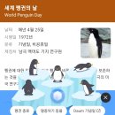 오늘, 지금 바로 다음에서 '세계 펭귄의 날'을 검색해보자! 🐧 이미지