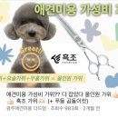 하이엔드멍