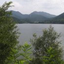 금평 농장 이미지