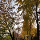 미도아파트_하 이미지