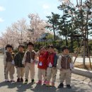 죽림 내죽도공원 이미지