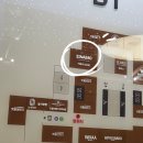 회수입구 4가 4 | 을지로4가 맛집 카페 시나브로 에그타르트 티라미수 디저트