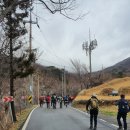 [명산기행#345] 광양의 진산(眞山) 백운산[ 白雲山 ] 이미지