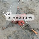 빛과갯벌-2 | [공지] [영종도 갯벌] 마시안해변 갯벌체험 후기 (서해안 바다 해루질 캠핑 추천 맛집 주차)