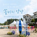 국내 여름 휴가지 추천 바다 가까운 쏠비치 양양 디럭스 스위트 숙박 프라이빗해변 후기