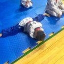 용인대석사명품태권도 이미지