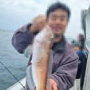 서귀포 낚시체험 제대로 즐기고 온 영일호바다배낚시체험 후기